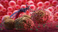 زنگ خطر ابتلا به مالاریا به صدا درآمد/ شناسایی ۴۷ بیمار در