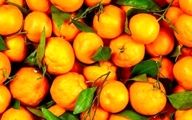 خوردن نارنگی این ۱۰۰ بیماری را درمان می کند!