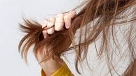 چگونه موخوره مو را درمان کنیم؟