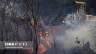 پارک ملی کرخه در آتش سوخت