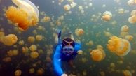 تصاویر حیرت انگیز از دریاچه عروس دریایی + عکس