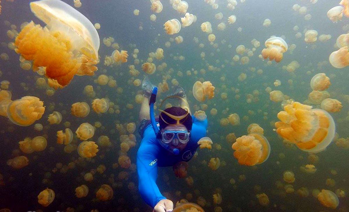 تصاویر حیرت انگیز از دریاچه عروس دریایی + عکس