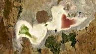 محیط زیست  مرگ دریاچه ارومیه را تکذیب کرد