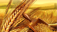 خبر مهم از افزایش خرید تضمینی گندم و قیمت آرد 