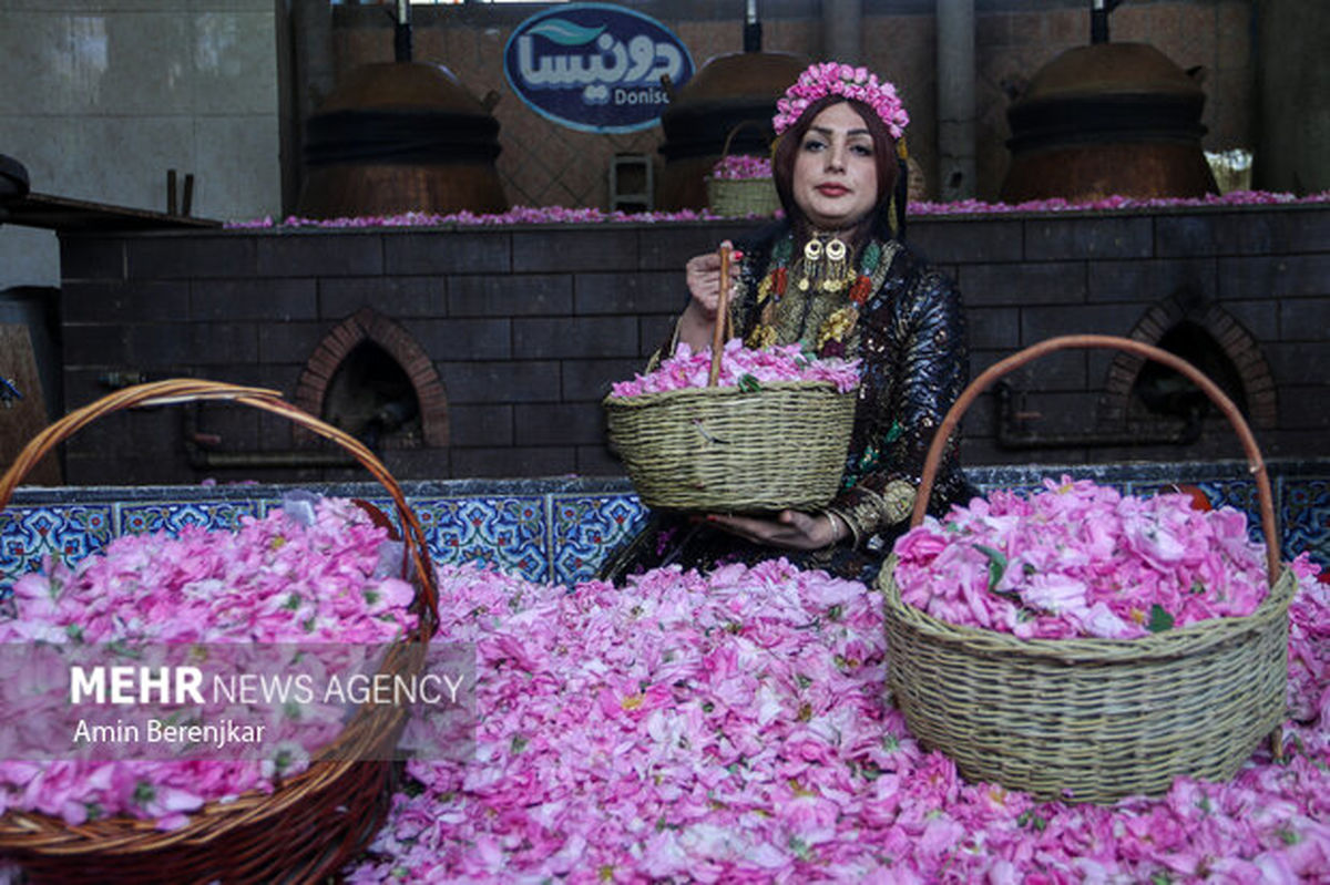 جشنواره گلاب به تهران رسید