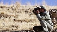 حمله مسلحانه به محیط‌بان مازندرانی | در پارک ملی پابند نکا چه گذشت؟ + عکس