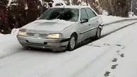 ویدئویی از بارش سنگین برف در جاده چالوس

