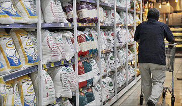 برنج ارزان شد |قیمت انواع برنج ایرانی و خارجی در بازار
