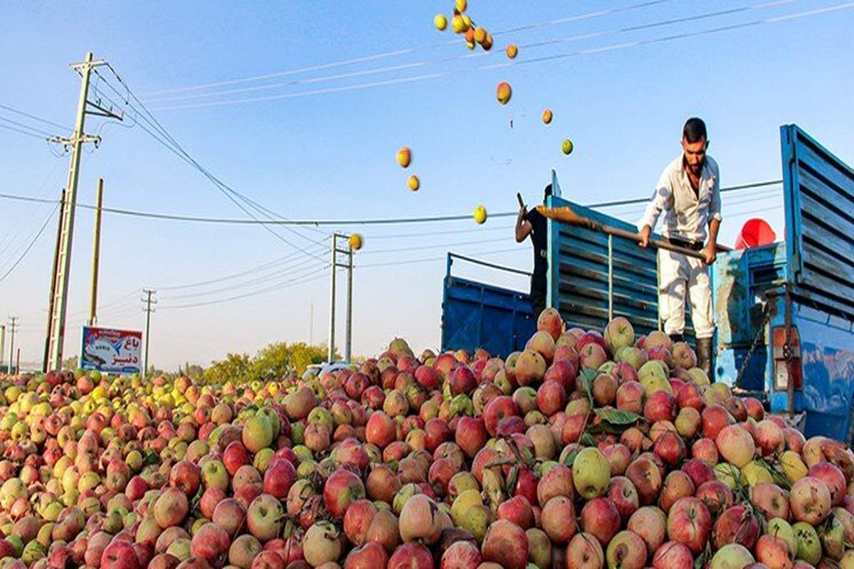 جزئیات خشک شدن دریاچه ارومیه با سیب های فاسد / ماجرا چه بود؟