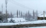 آغاز بارش برف در ایران/ این 16 شهر برفی می شوند