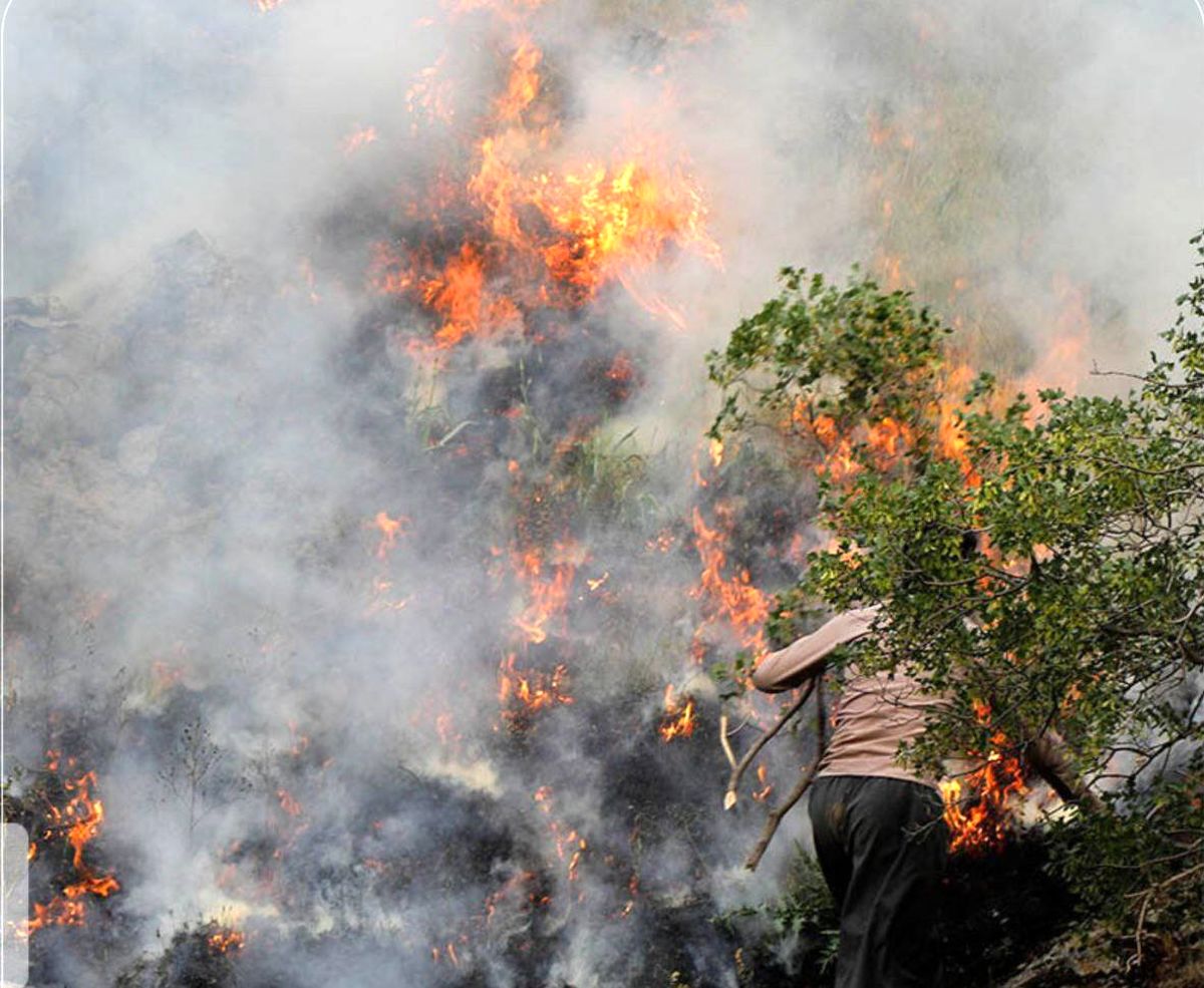 14 نفر بخاطر آتش‌سوزی‌های مریوان بازداشت شدند
