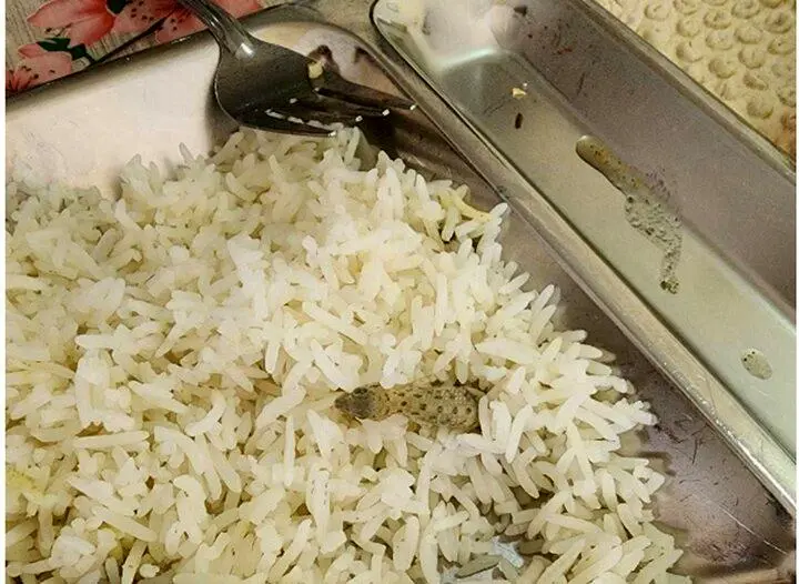 واکنش دانشگاه علوم پزشکی کاشان به مارمولک خبرساز