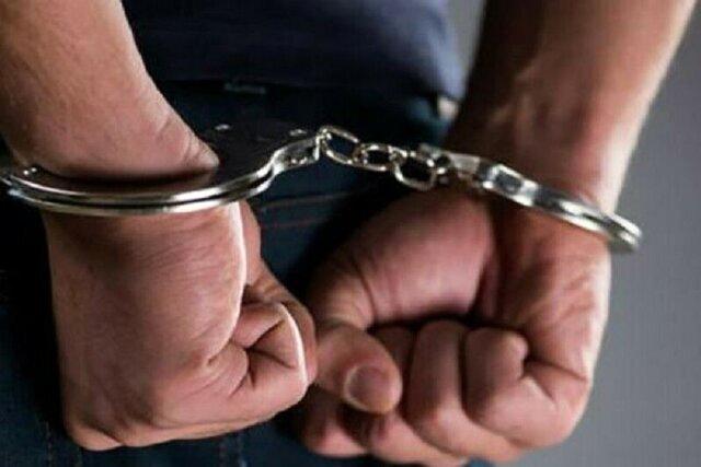 بازداشت یک دلال ارز با ۶۰ هزار دلار در پایتخت