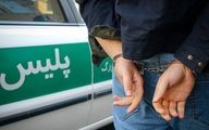بازداشت مسافر ایران به آمریکا به اتهام قتل
