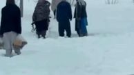 ببینید | طالبان یک زوج در حال برف بازی را بازداشت کرد