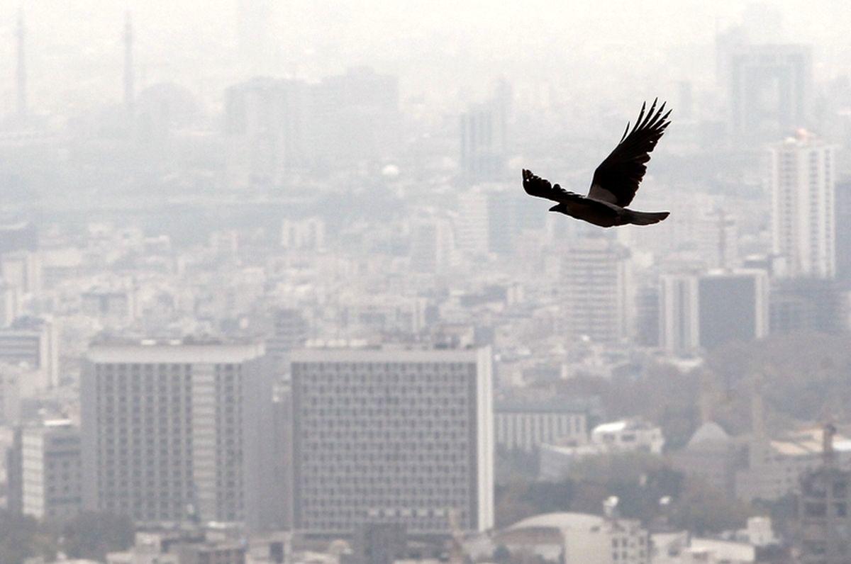 آلودگی هوا؛ سومین عامل مرگ و میر در ایران/ مرگ بر اثر آلودگی هوا، ۴ برابر ایدز