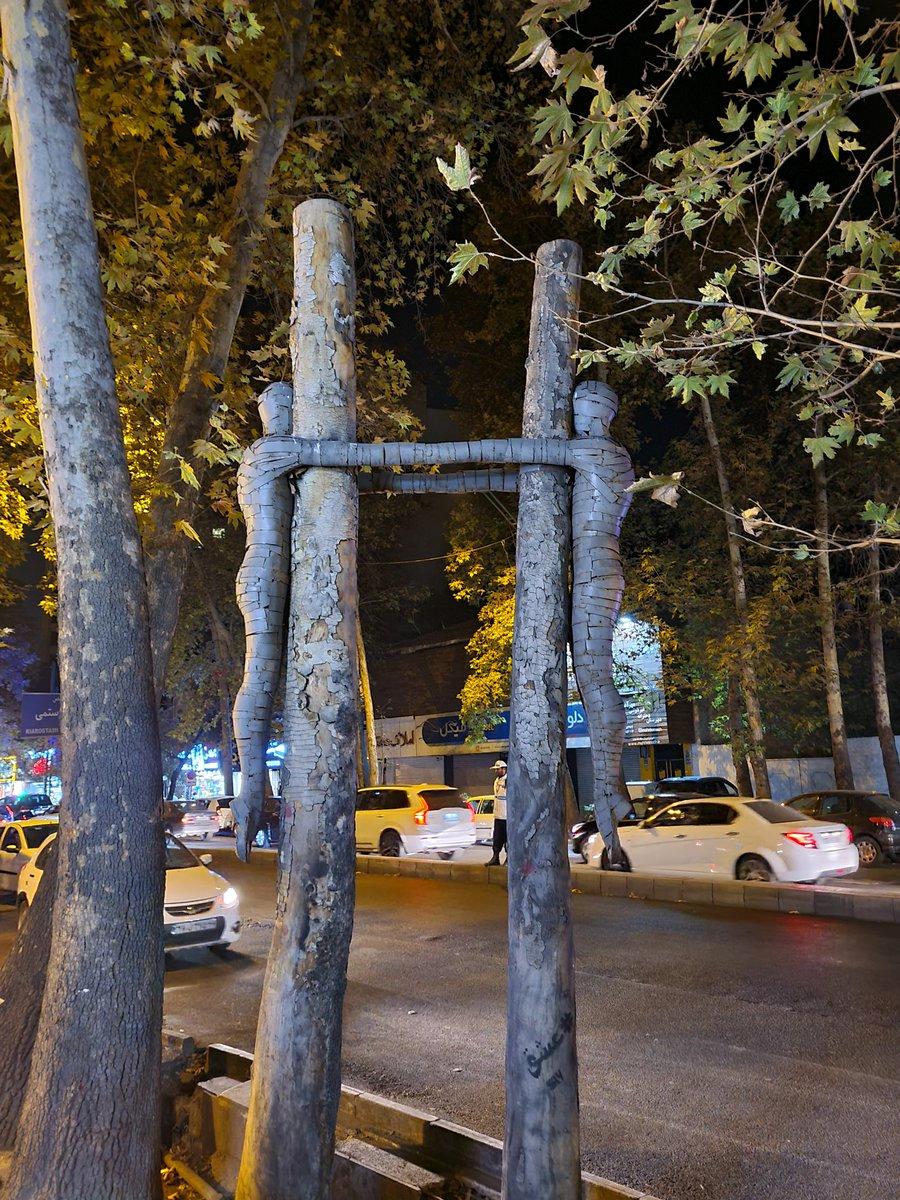 حرکت خاص و هنری روی دو درخت قطع شده تهران