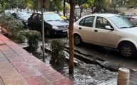 سیل و باران تهران را برد ؛ زاکانی باز هم نبود