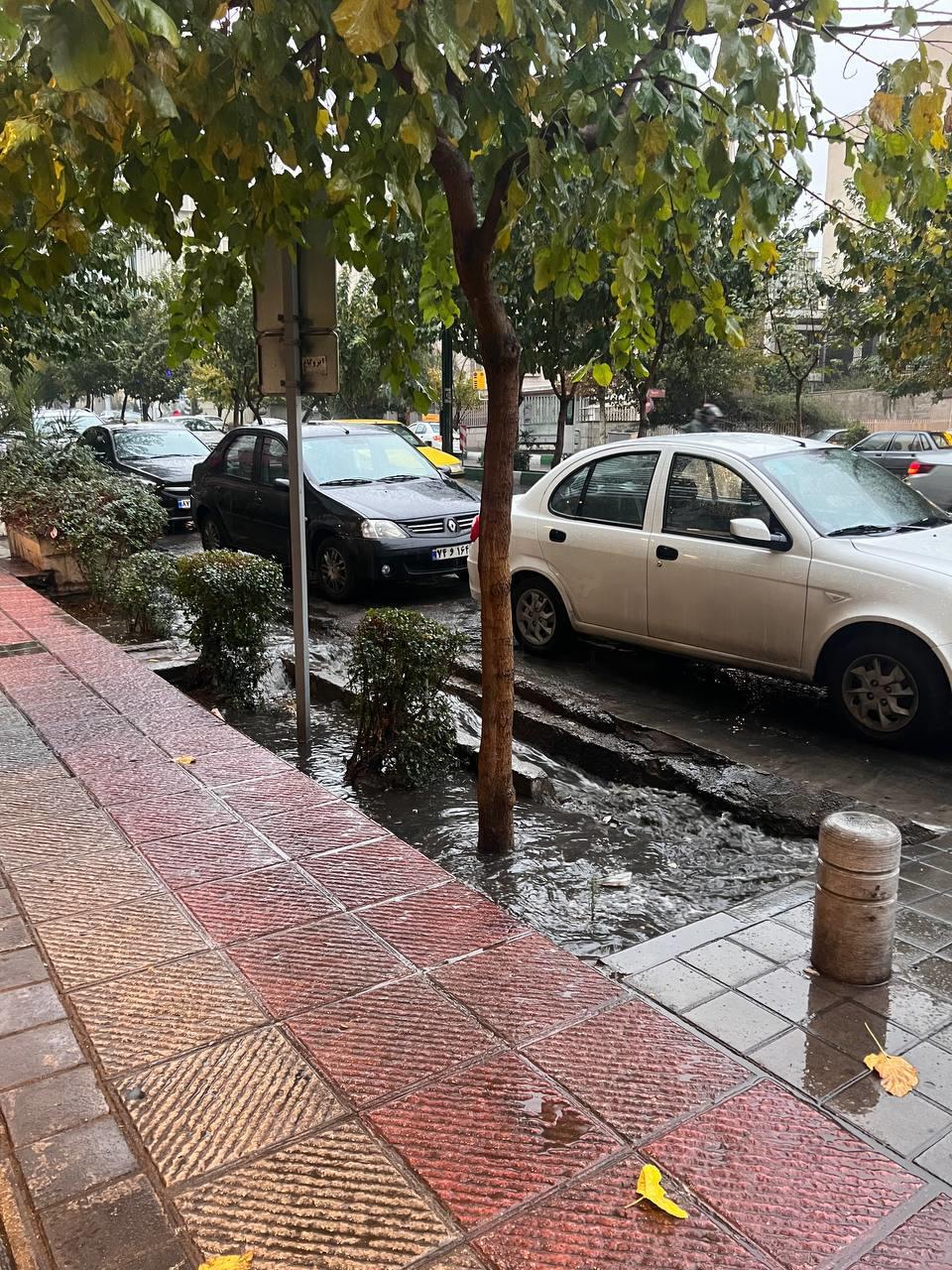 سیل و باران تهران را برد ؛ زاکانی باز هم نبود