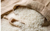 قیمت روز برنج در بازار | هاشمی گران‌تر از همه!
