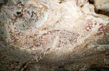 کشف قدیمی‌ترین نقاشی انسان با قدمت 50 هزار سال + عکس