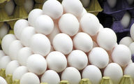اعلام جدیدترین قیمت تخم‌مرغ