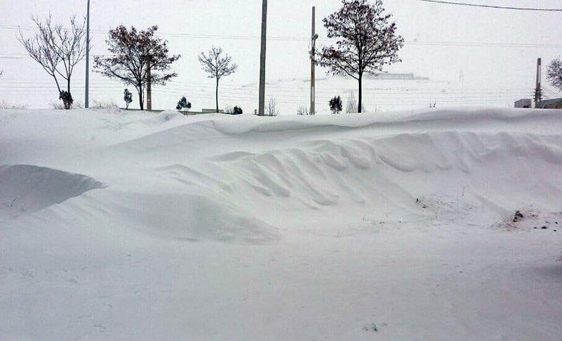 دفن شدن خودروها در زیر برف در این استان ایران + عکس