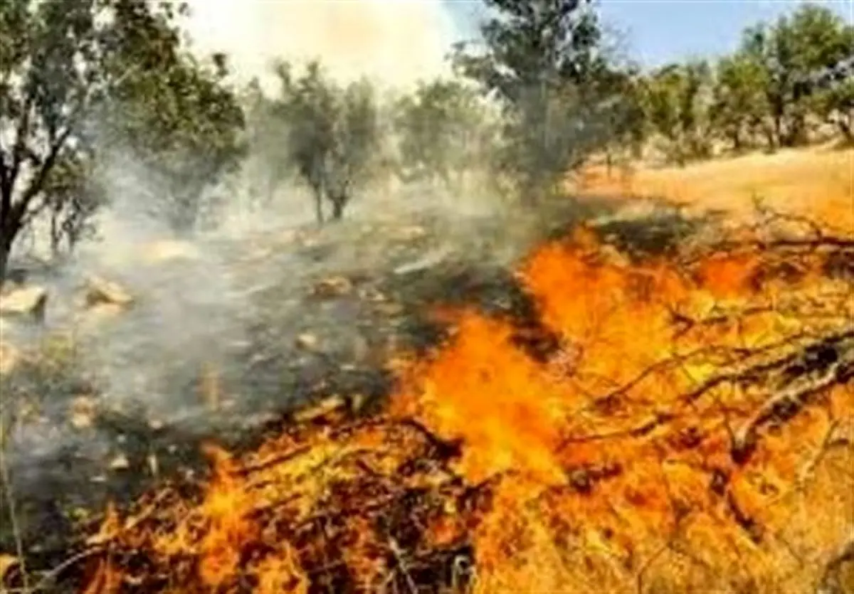 جزئیات آتشسوزی وحشتناک جنگلهای لرستان و مریوان