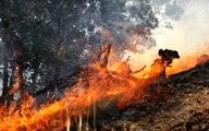 عاملی که باعث آتش‌سوزی ۹۵ درصد از جنگل‌های گیلان شد
