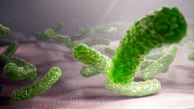 بزرگ‌ترین باکتری جهان شناسایی شد
