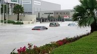 ببینید| خیابان های امارات در سیل غرق شد