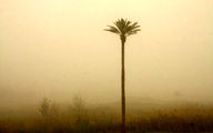گرد و غبار، مهمان چند روز آینده ایلام و خوزستان 