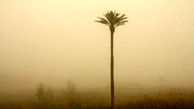 آخرین وضعیت آب و هوای خوزستان