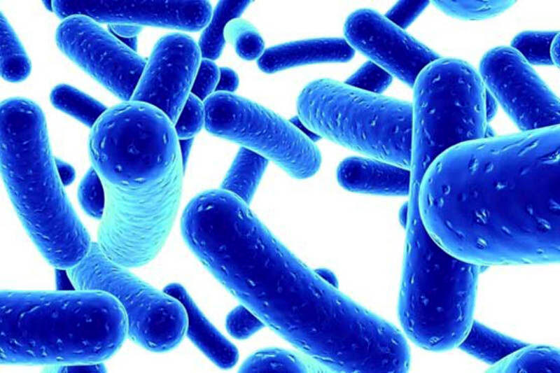 خبر مهم وزارت بهداشت برای مقابله با «وبا» در کشور