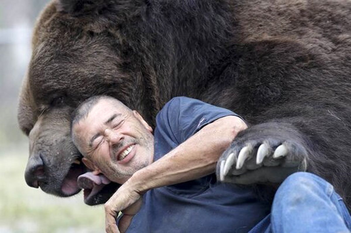دوستی عجیب و ترسناک این مرد با خرس قهوه‌ای + فیلم