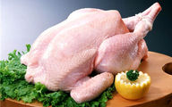 کمبود مرغ نداریم اما مرغ گران می شود؛ علت چیست؟