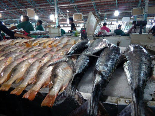 قاچاق گسترده ماهی به دوبی!