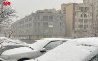 بارش ۲۰ سانتی متری برف در تهران+فیلم