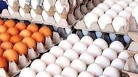 تخم مرغ باز هم گران می‌شود؟