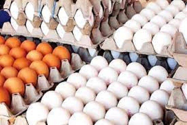 قیمت جدید تخم مرغ اعلام شد | افزایش شدید قیمت مصوب