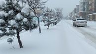 تصویری عجیب از بارش برف در همدان + عکس