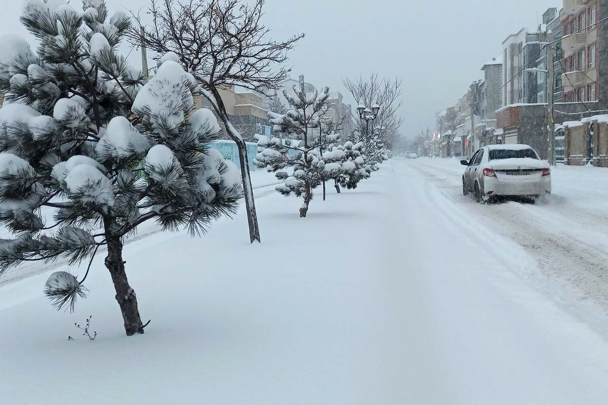 بارش ۵ متری برف در کشور تکذیب شد